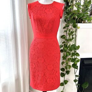 Adrianna Papell Coral Lacy Pencil Dress Evening Date Night Wedding - Size 4